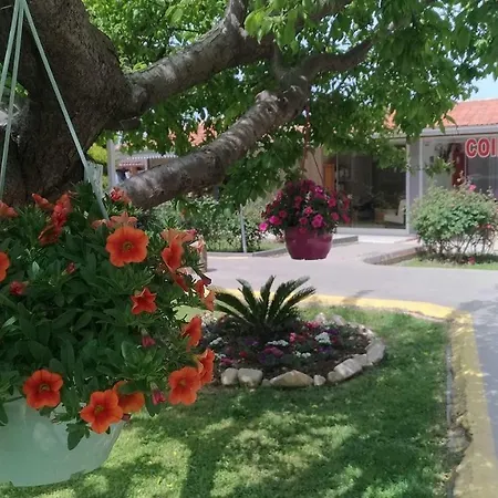 호텔 Altinkum Bungalow 3*