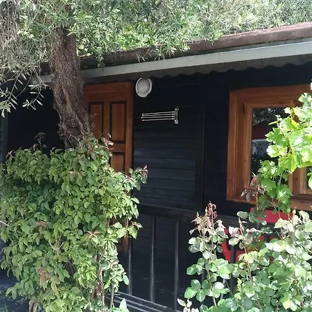 Altinkum Bungalow 호텔 시데
