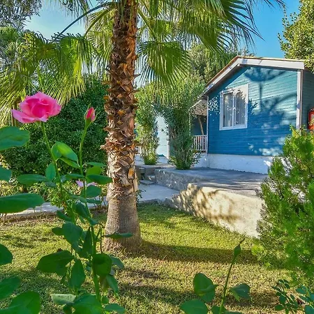 Altinkum Bungalow Hotel 3*