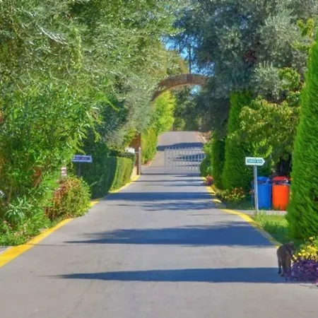 Ξενοδοχείο Altinkum Bungalow Σιντέ