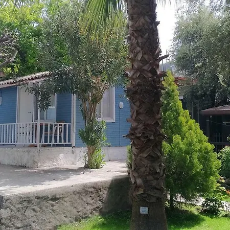 Altinkum Bungalow فندق 3*