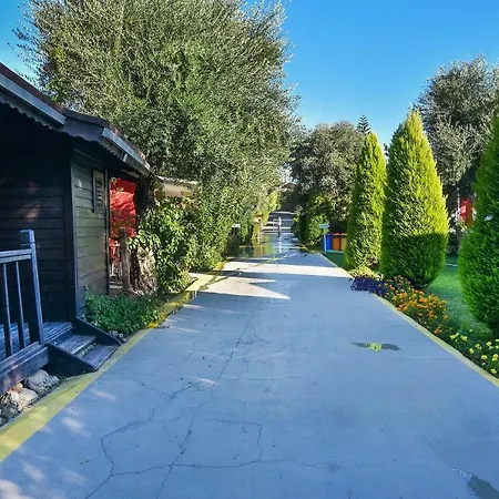 Altinkum Bungalow 3* Σιντέ