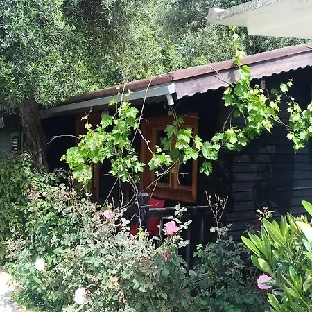 Hotel Altinkum Bungalow Side